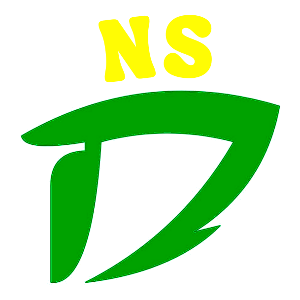 Logo Colegio NSD